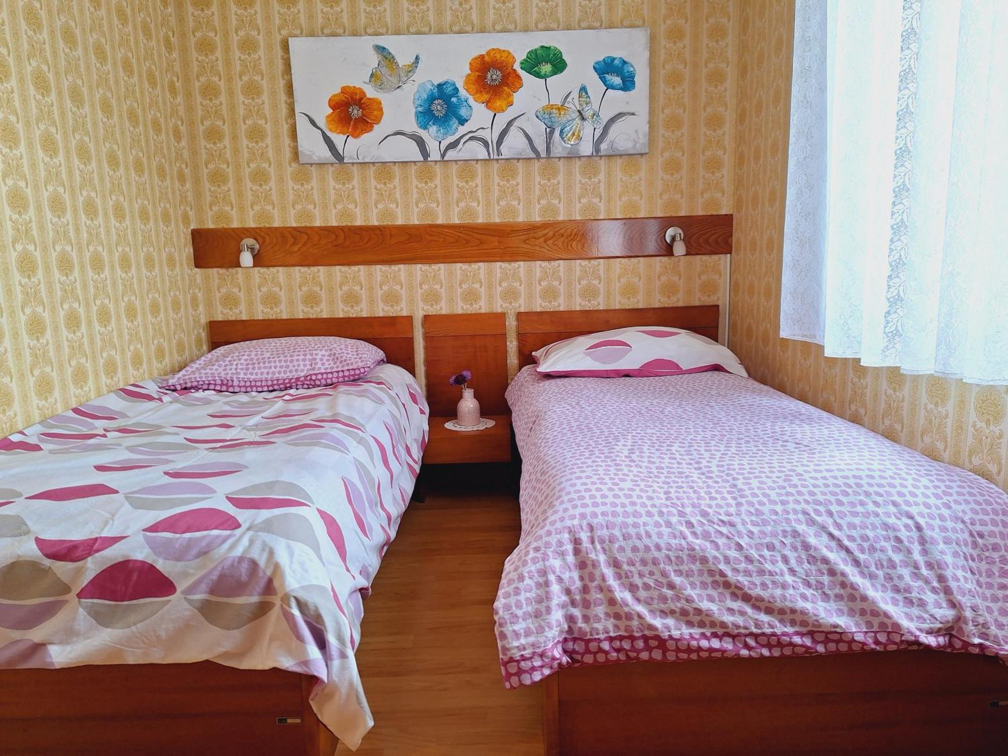 Apartma Ferjan Zaga Exterior photo